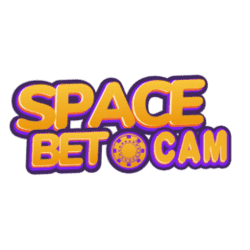 sudoku solving asset
